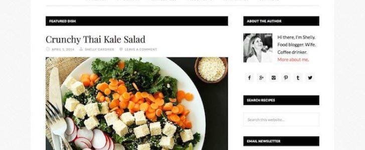 Daily dish, Blogging Theme, WordPress Theme