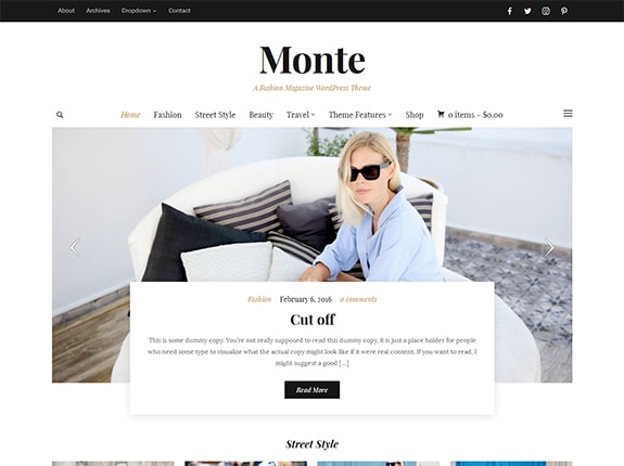 Monte WordPress Theme