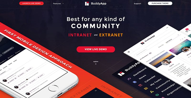 BuddyApp BuddyPress Theme