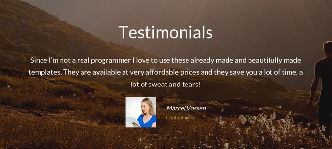 Monstroid Testimonials