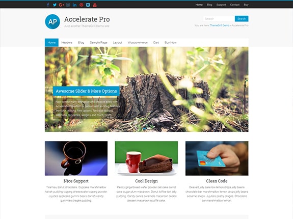 Accelerate Pro WordPress Theme