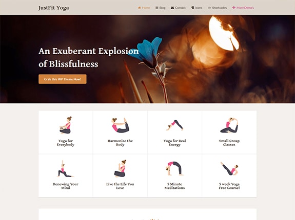 JustFit SEO Optimized WP Theme