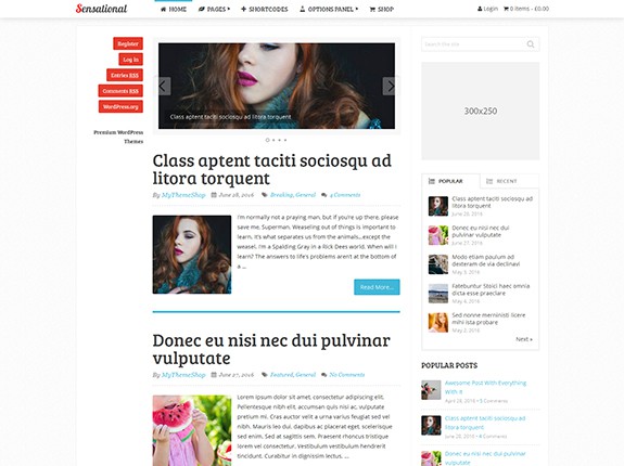 Sensational WordPress Theme