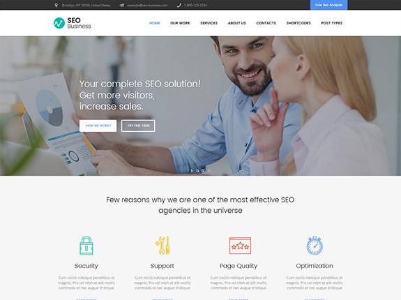 SEO Business WP Theme