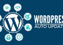 WordPress Auto Updates