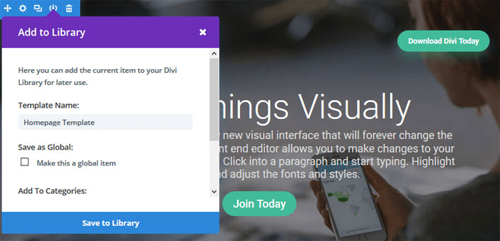 Divi Theme - Divi Library