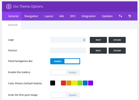 Divi Theme - Theme Options Panel