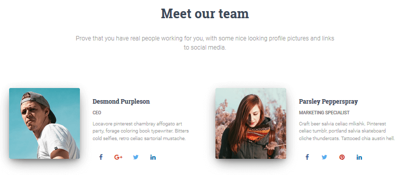 Hestia Pro - Meet the Team Section