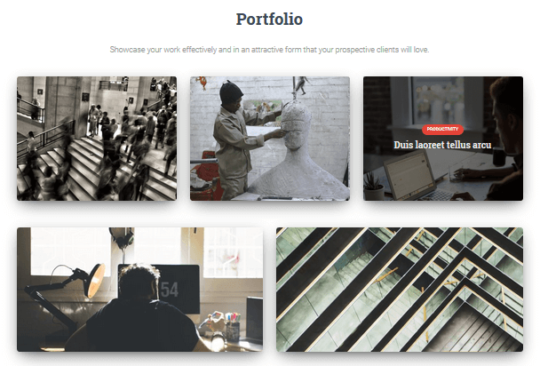 Hestia Pro - Portfolio Section