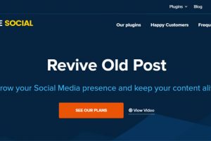Revive Old Post Plugin review