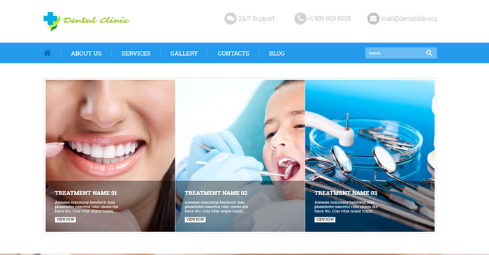 Dental Care WordPress Theme