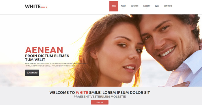 White Smile WordPress Theme 2018