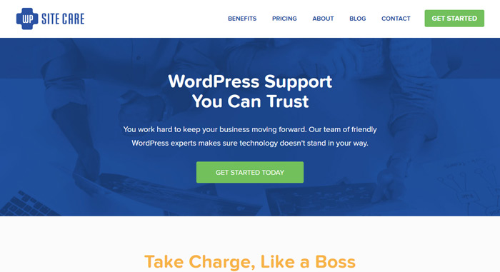 WP Site Care