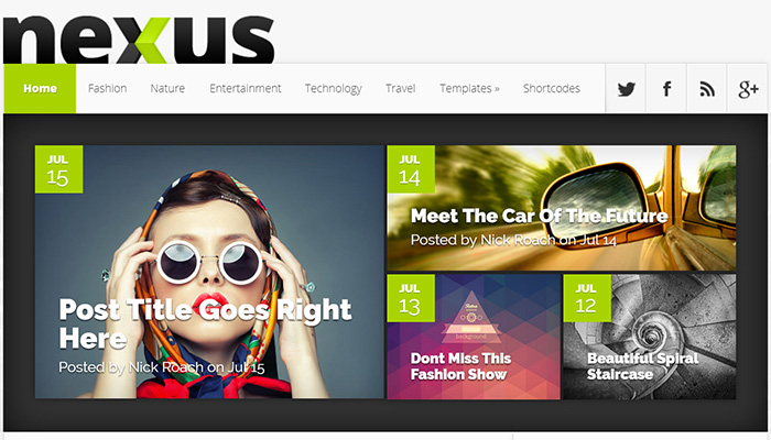 Nexus WordPress Theme