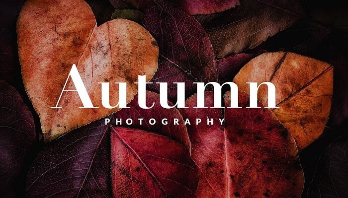 Fall Lightroom Presets