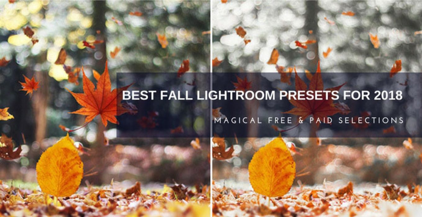 fall color presets for lightroom