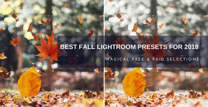 Best Fall Lightroom Presets