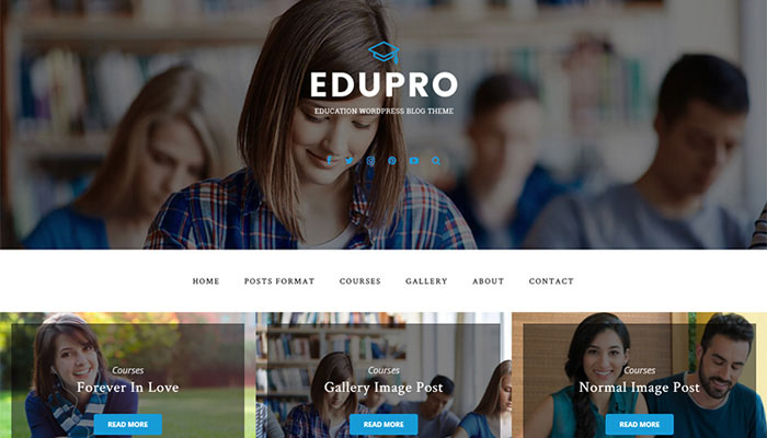 WordPress Theme for an Education Blog