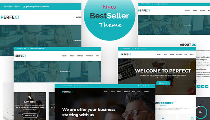 Perfect Corporate WordPress Theme